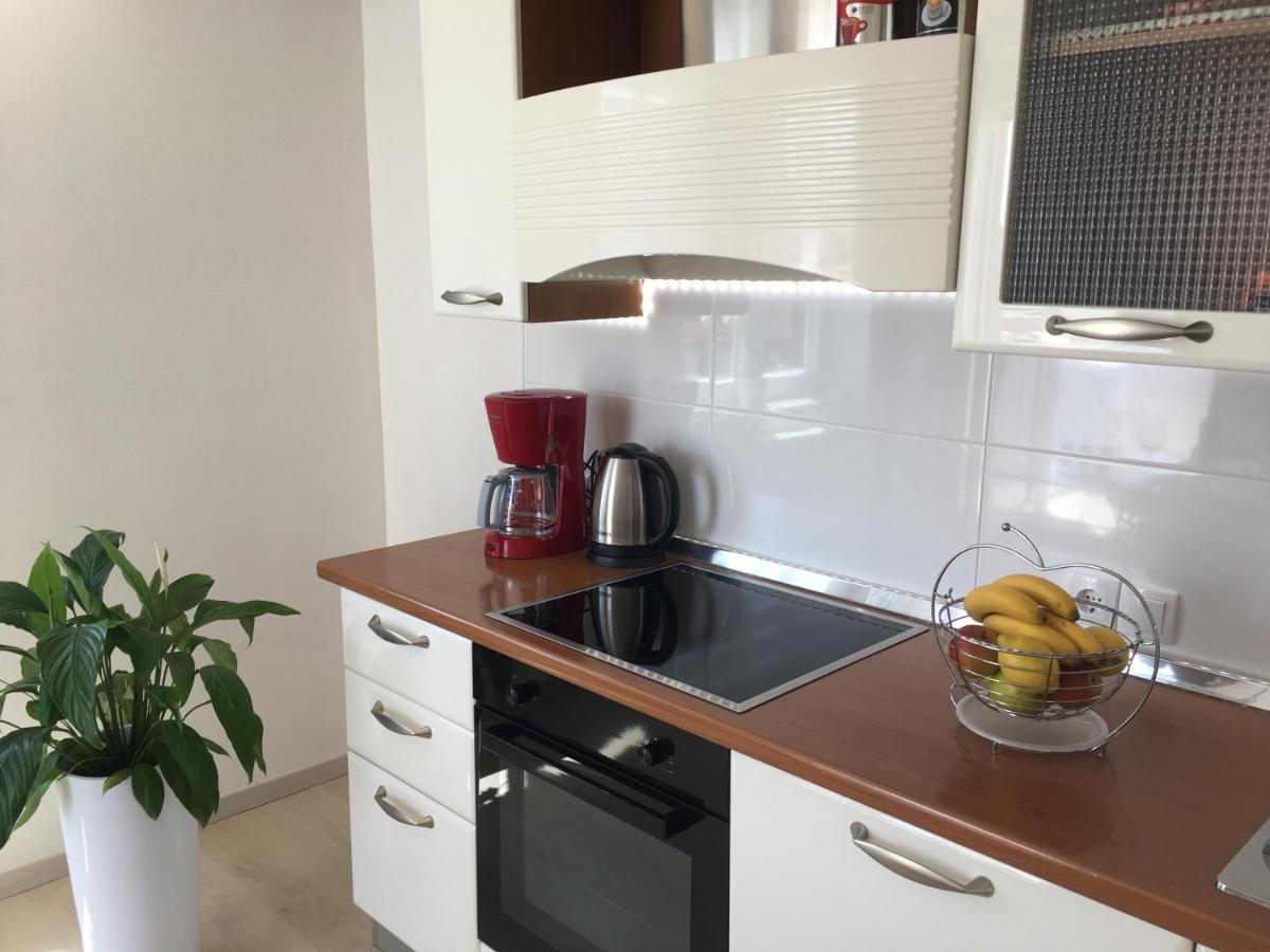 Apartments Roberta Novigrad  Екстер'єр фото