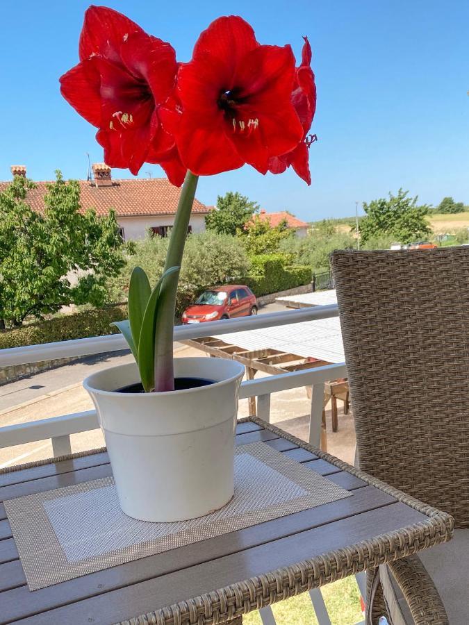 Apartments Roberta Novigrad  Екстер'єр фото