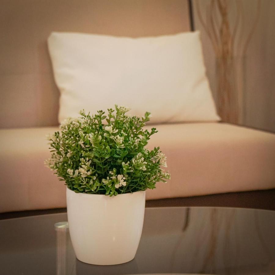 Apartments Roberta Novigrad  Екстер'єр фото